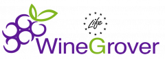 WineGRover Logo
