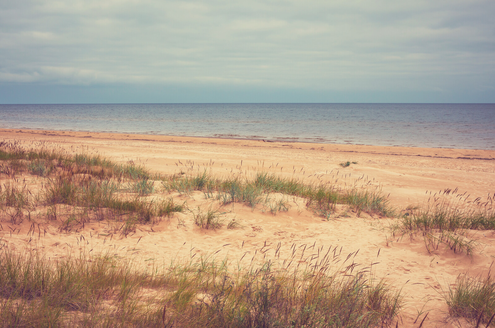 Coastal control