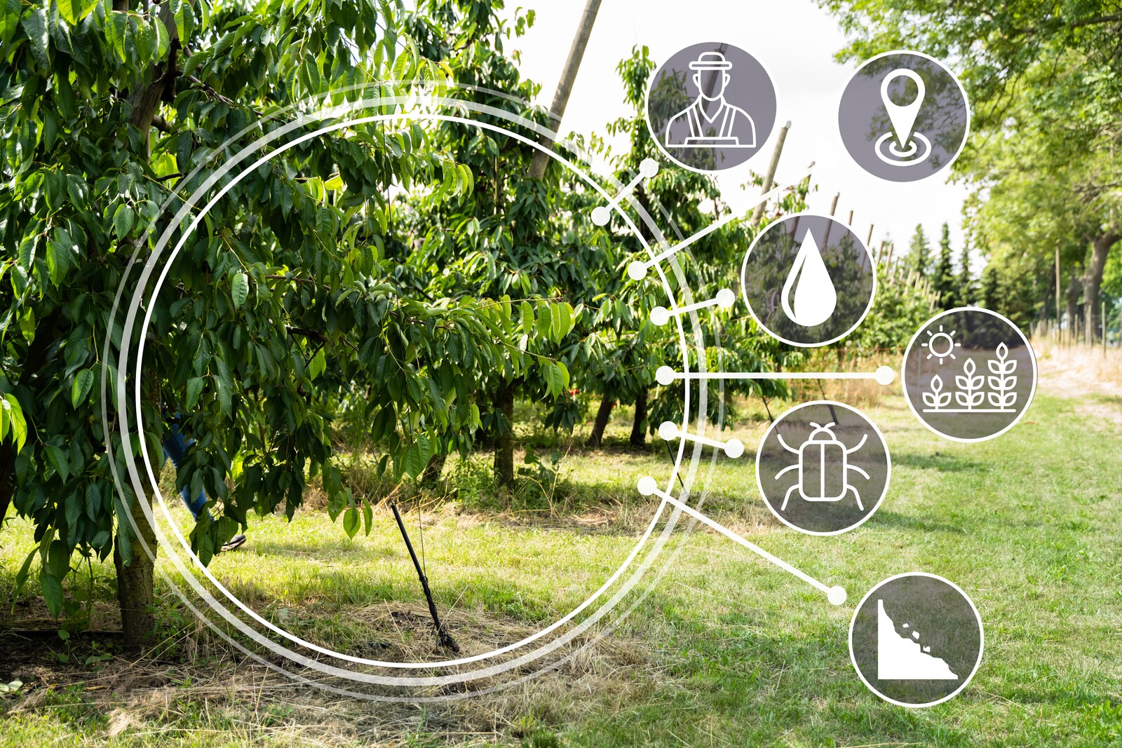 Precision farming