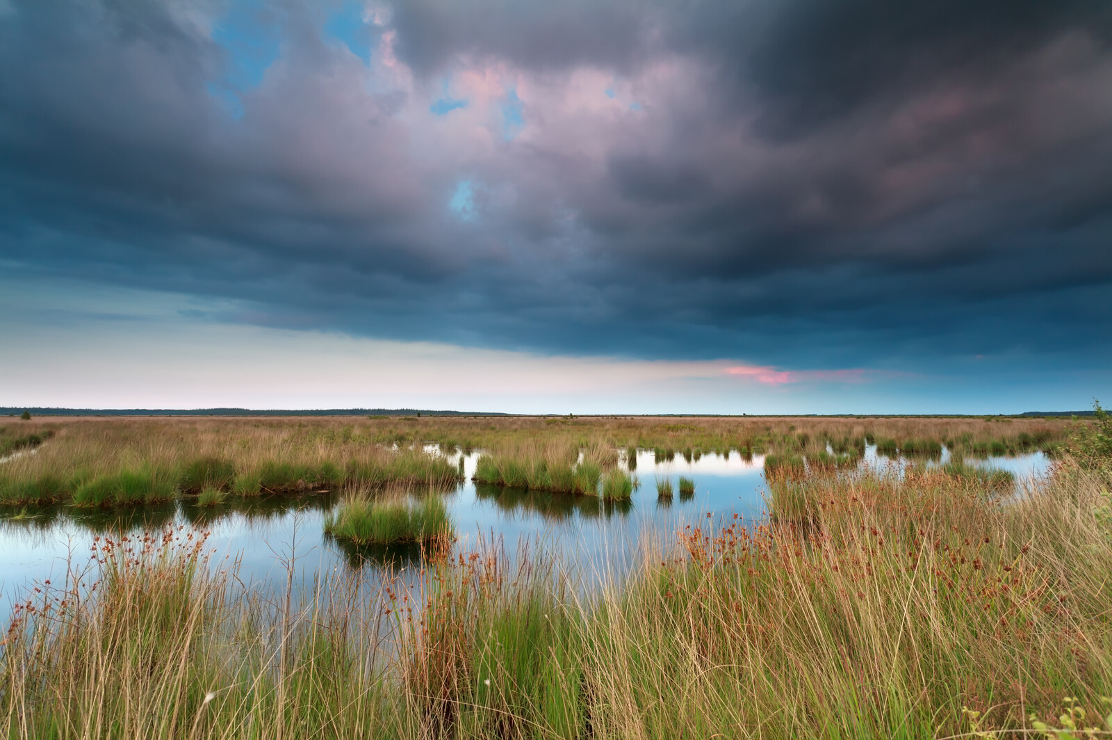 Wetlands